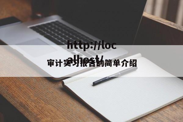 审计实习报告的简单介绍